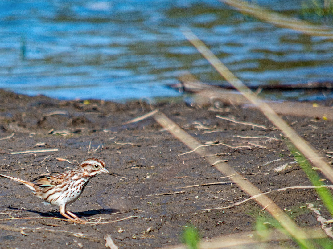 Amherst State Park-艾姆赫斯特必去景点