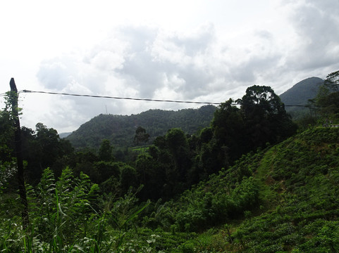 BTR SL-加勒必去景点
