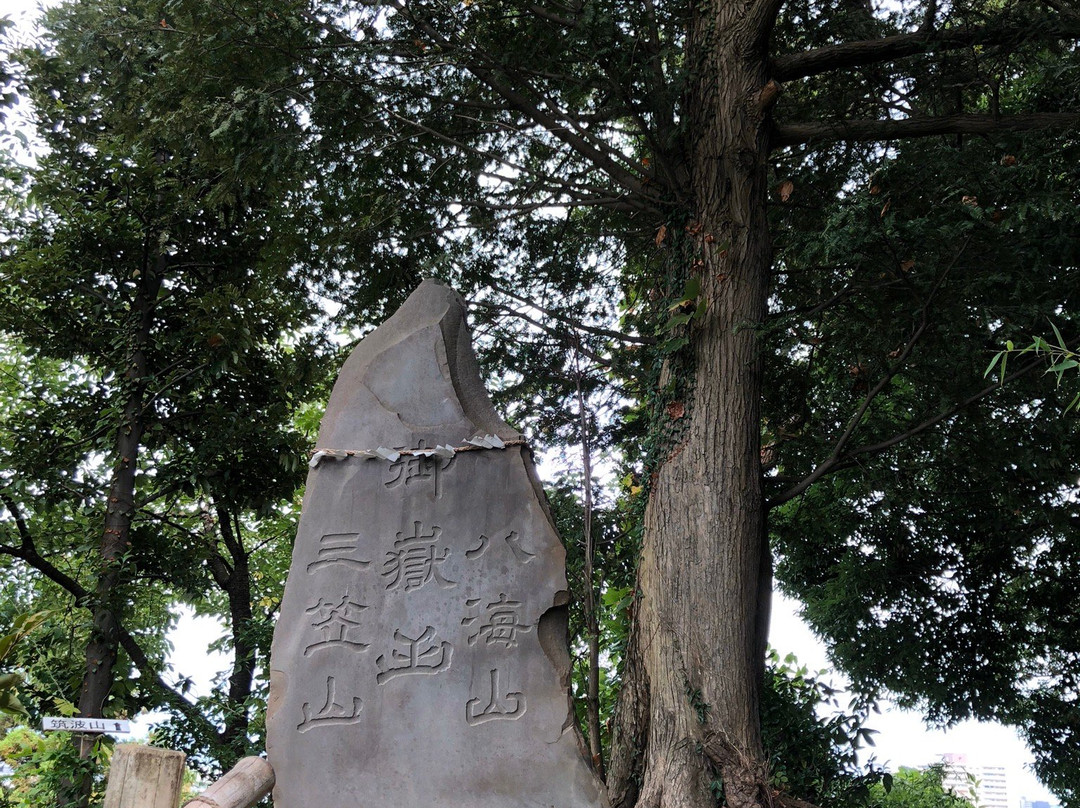 Kokonoe Shrine-川口市必去景点