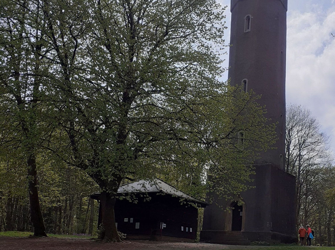 Ludwigsturm auf dem Donnersberg景点图片
