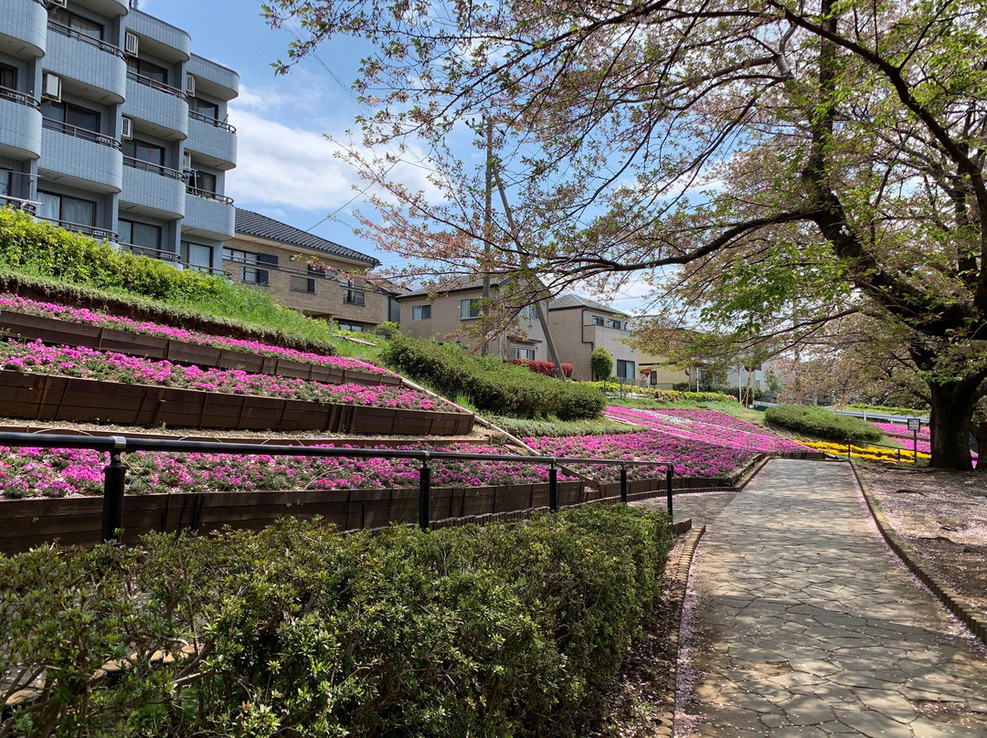 Kanigasawa Park-座间市必去景点