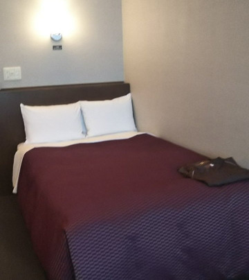 Castle Inn Toyokawa主图