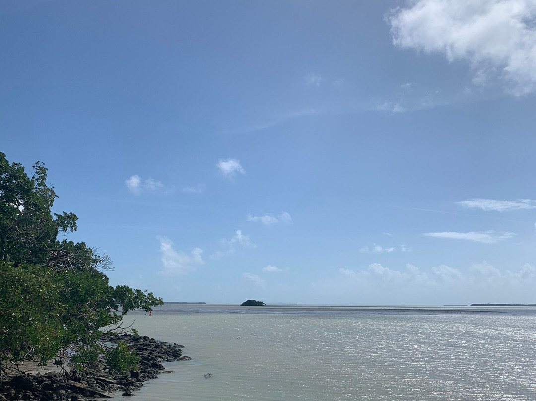 Flamingo Visitor Center-大沼泽国家公园必去景点