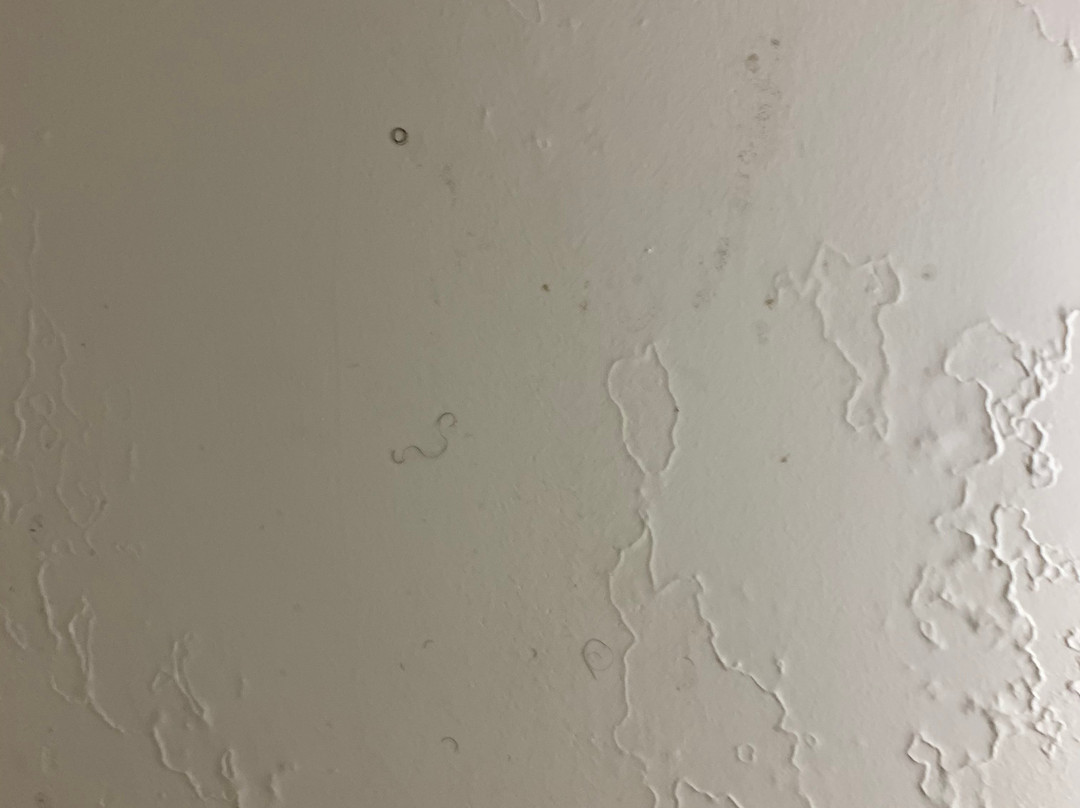 OYO Hotel Phenix City主图