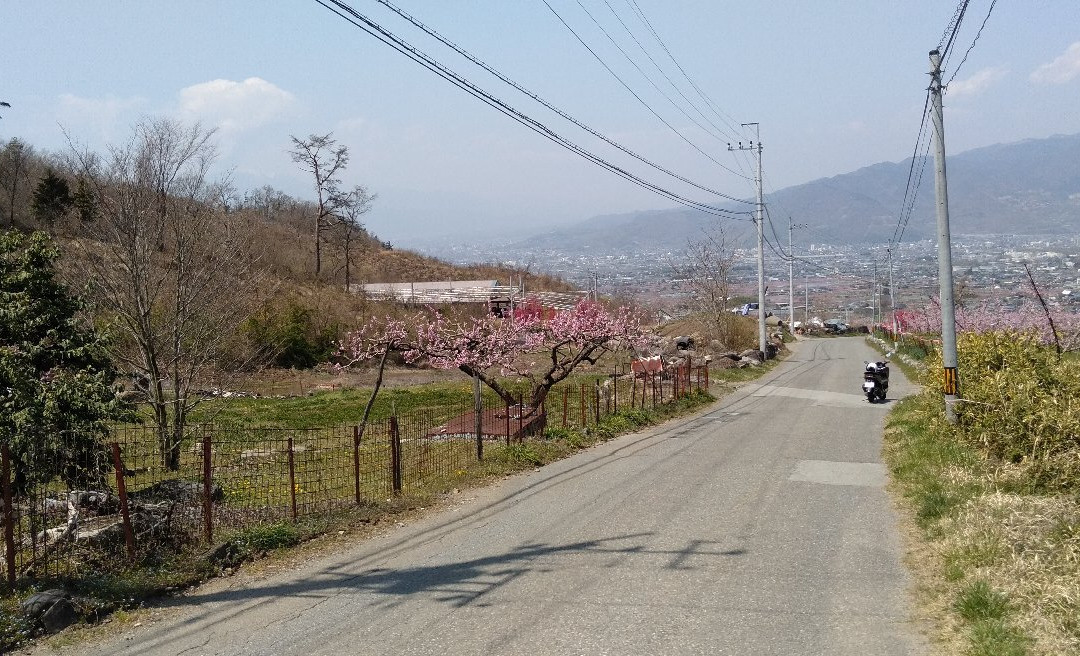 Fuefuki Togenkyo景点图片