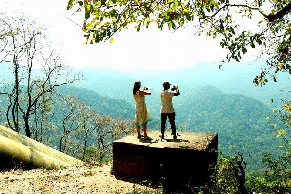 Green Kerala Tours & Travels景点图片