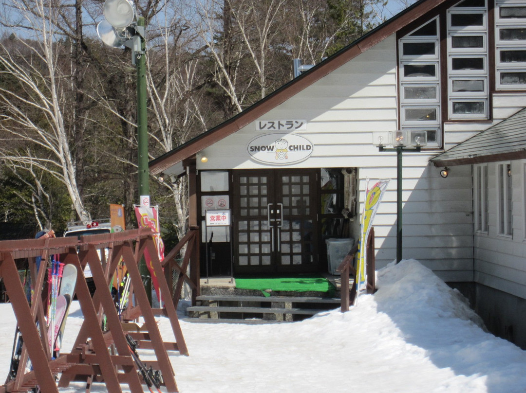 Katashina Kogen Ski Place景点图片