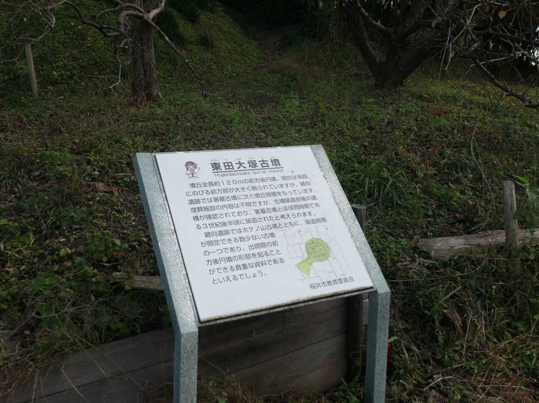 Makimuku Old Tomb-樱井市必去景点