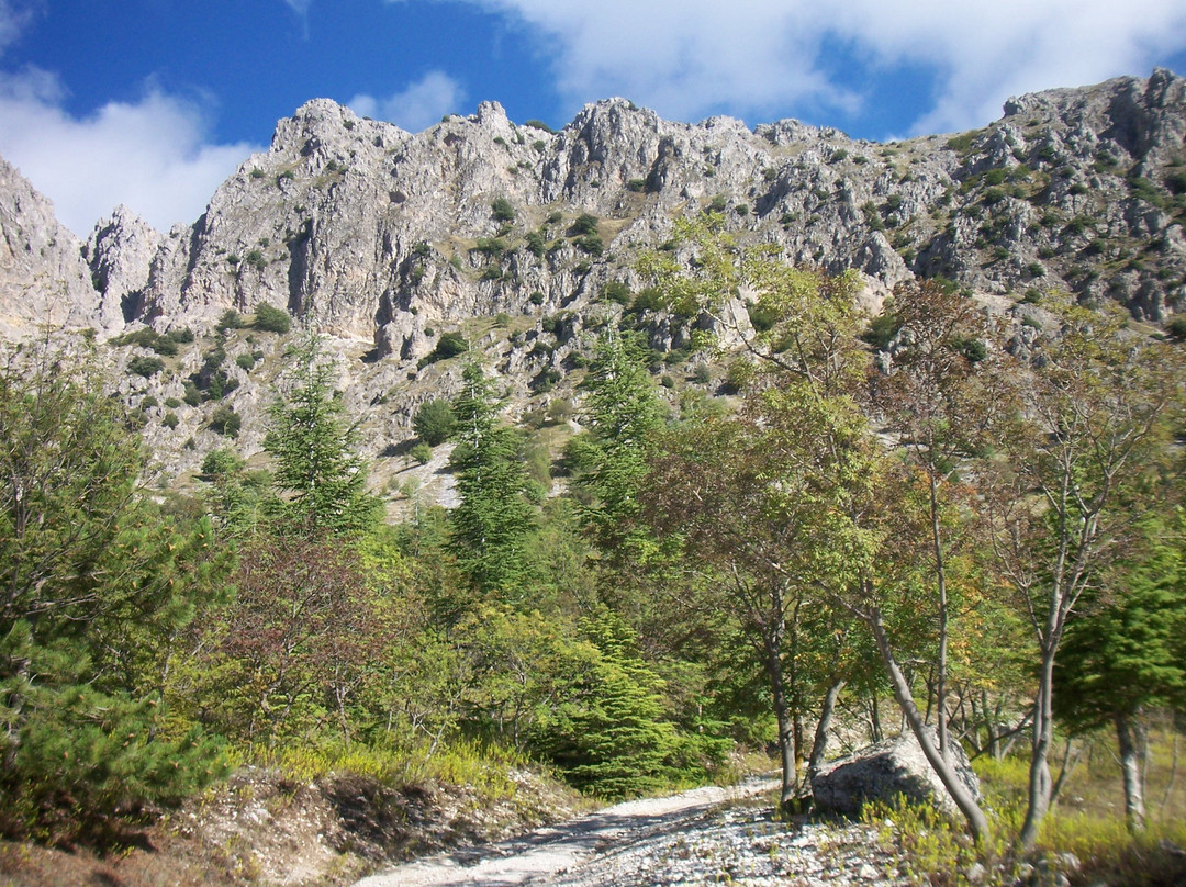Madonie景点图片