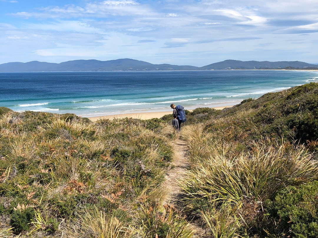 Tasmanian Walking Company景点图片