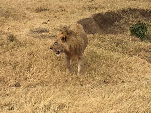 Tunu African Adventures-阿鲁沙必去景点