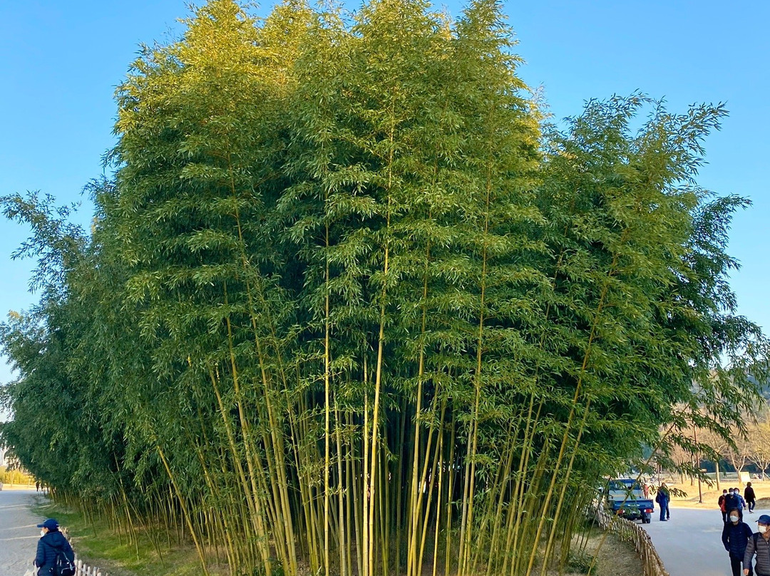 Taehwagang National Garden-蔚山必去景点