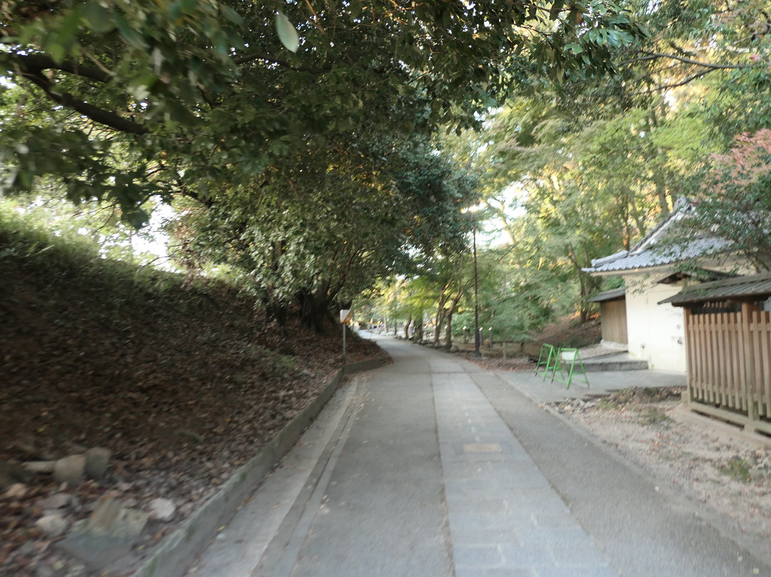 Sawarabi Street-宇治市必去景点
