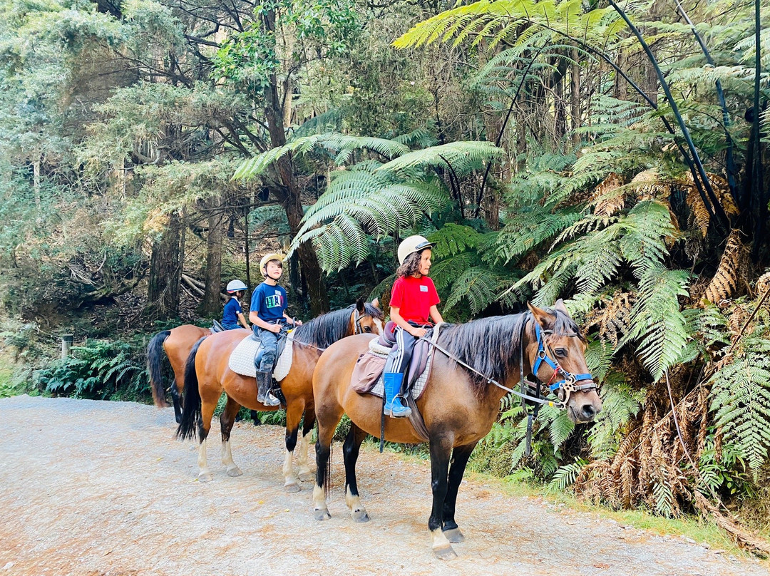 Horse Riding Warkworth-瓦卡沃夫必去景点