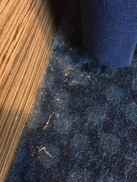 Travelodge Christchurch主图