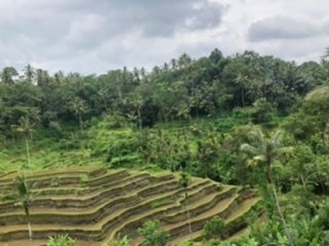 Fun Group Bali-登巴萨必去景点