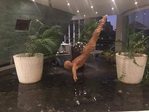 Ndiza Gallery-高登湾必去景点