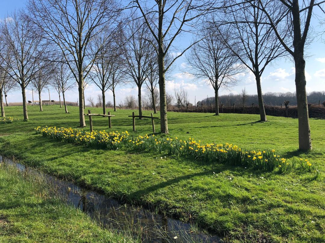 Vakantiepark Delftse Hout景点图片