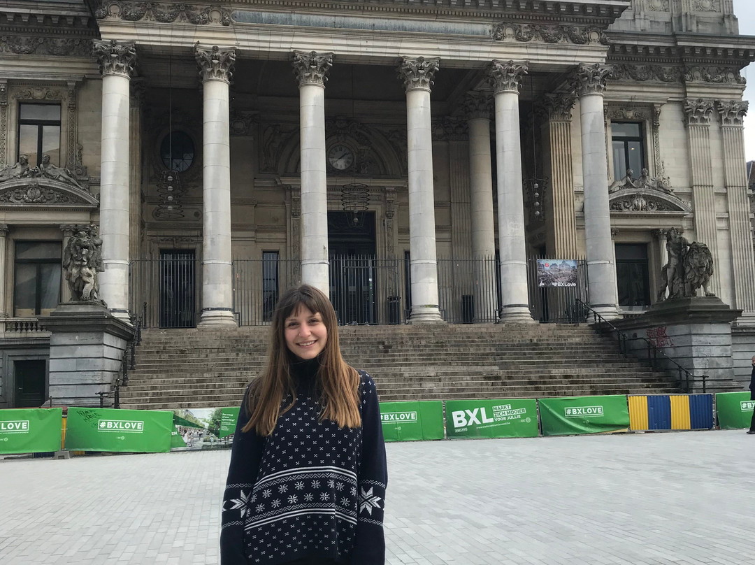 Viva's Tour-布鲁塞尔必去景点