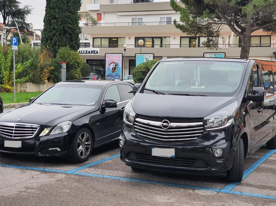 Paris Private Transfers & Limo Services: Airport, Cruise Port, Hotel Pickups景点图片