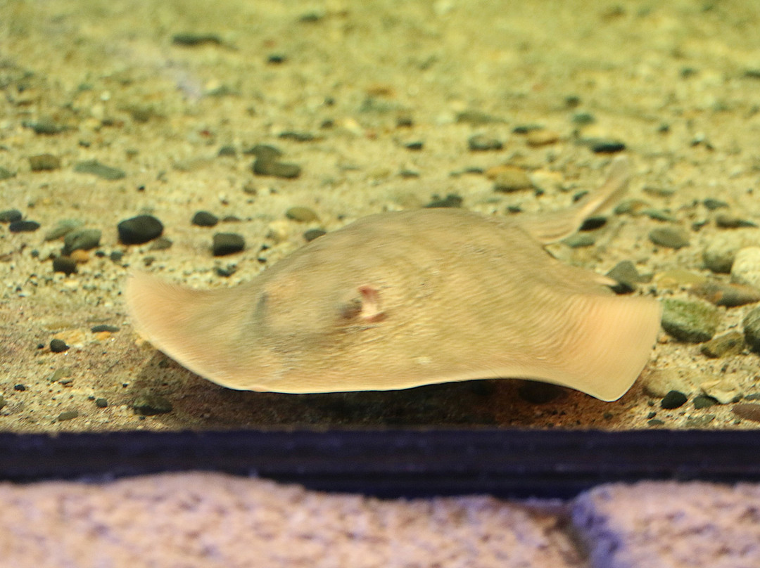 Peter & Mary Muth Interpretive Center-纽波特海滩必去景点