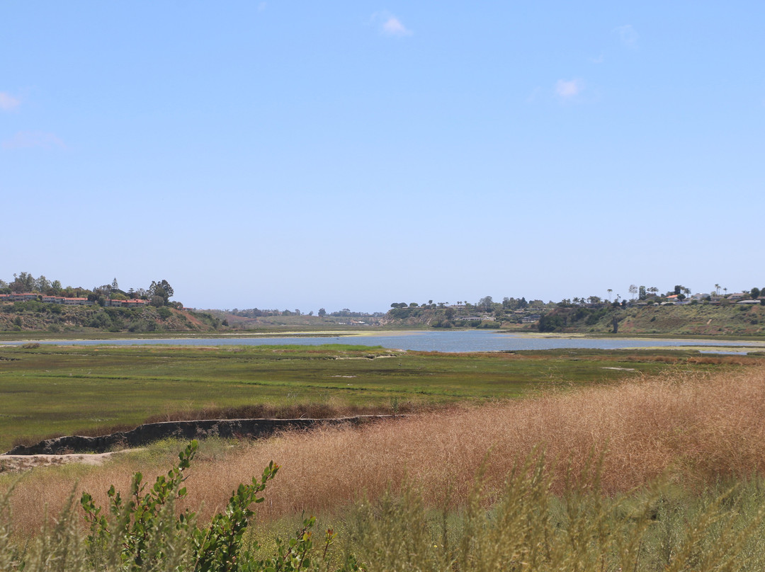Upper Newport Bay Nature Preserve景点图片
