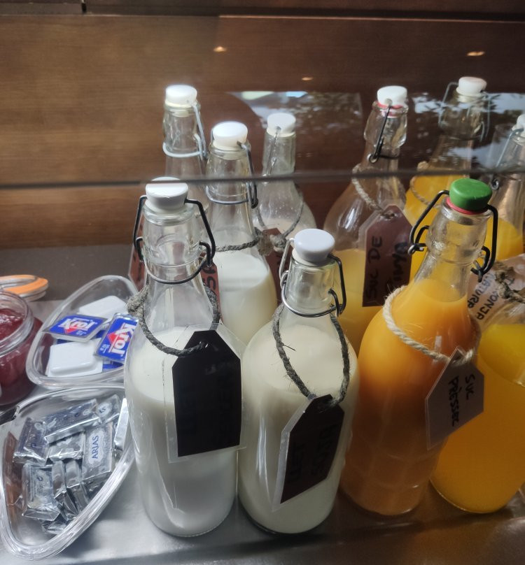 Balneari Font Vella- Adults Only主图