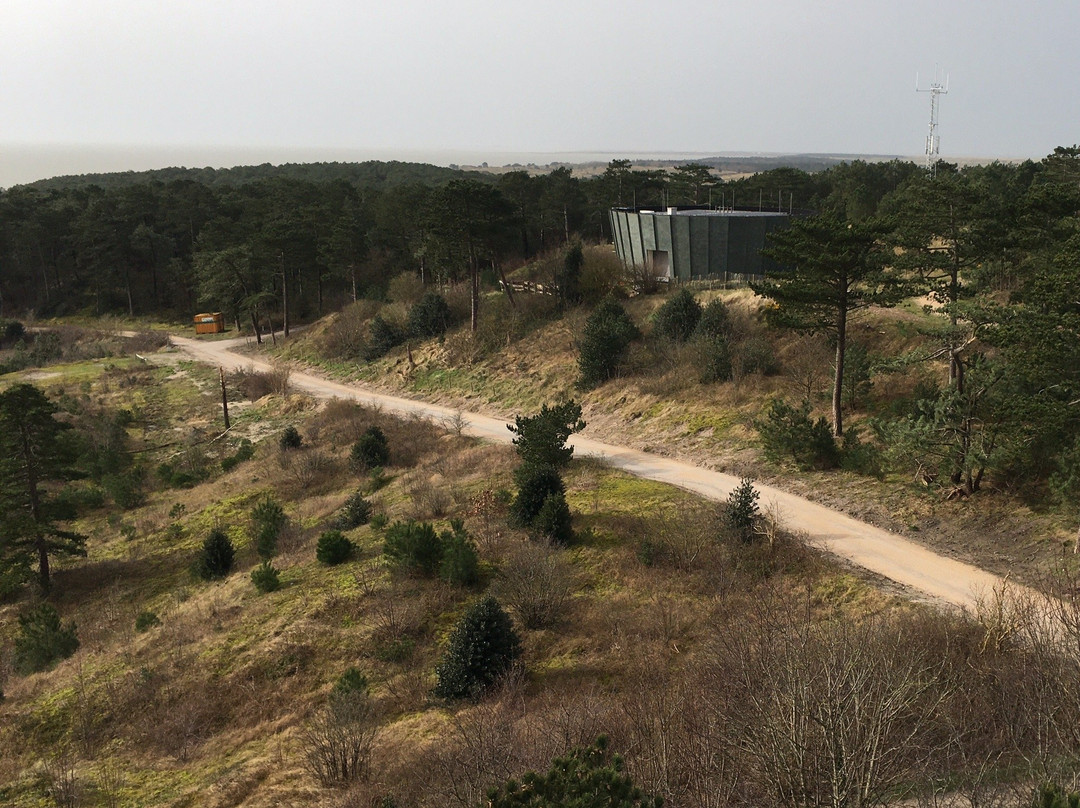 Vuurtoren Vlieland景点图片