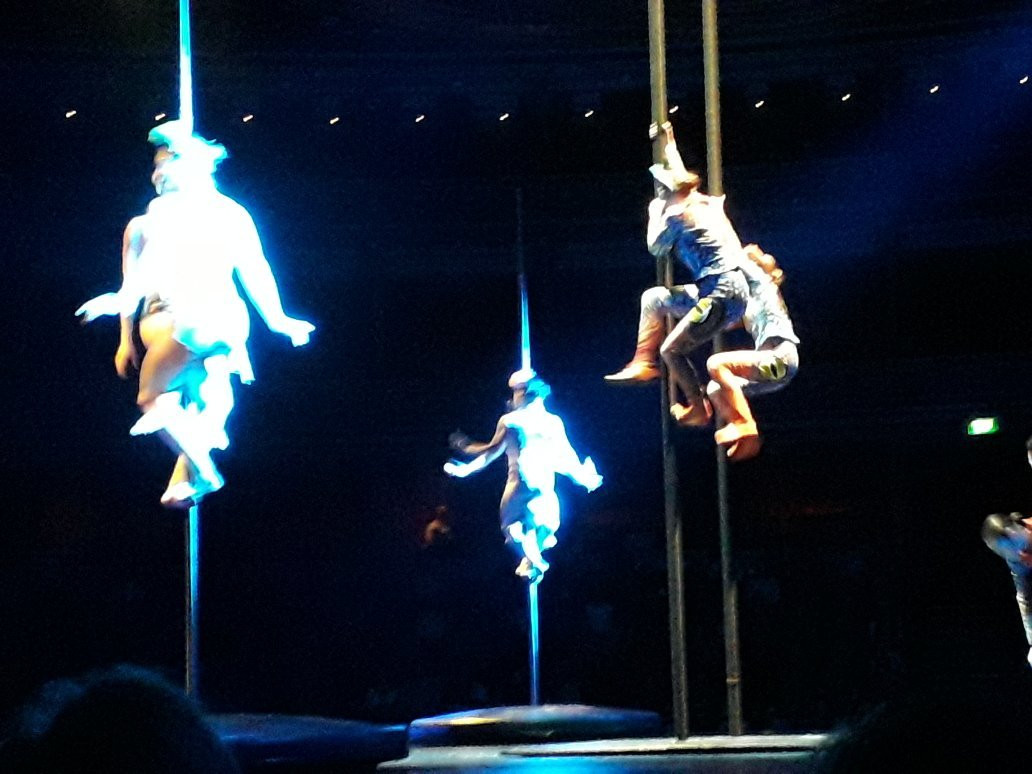 Cirque du Soleil Luzia景点图片