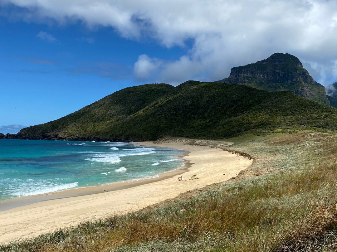 Blinky Beach-豪勋爵群岛必去景点