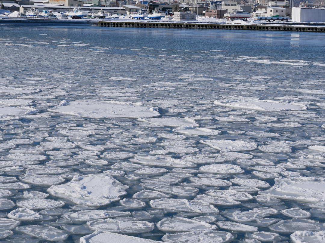 Abashiri Port-网走市必去景点