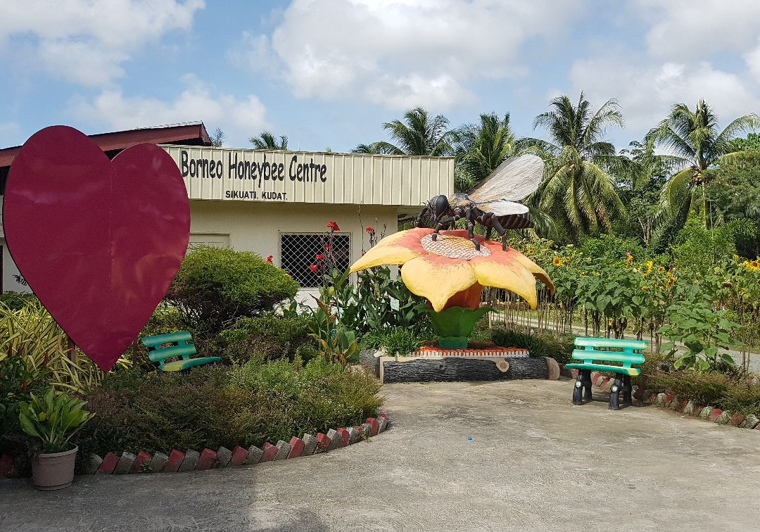Borneo Honeybee Centre-古达必去景点