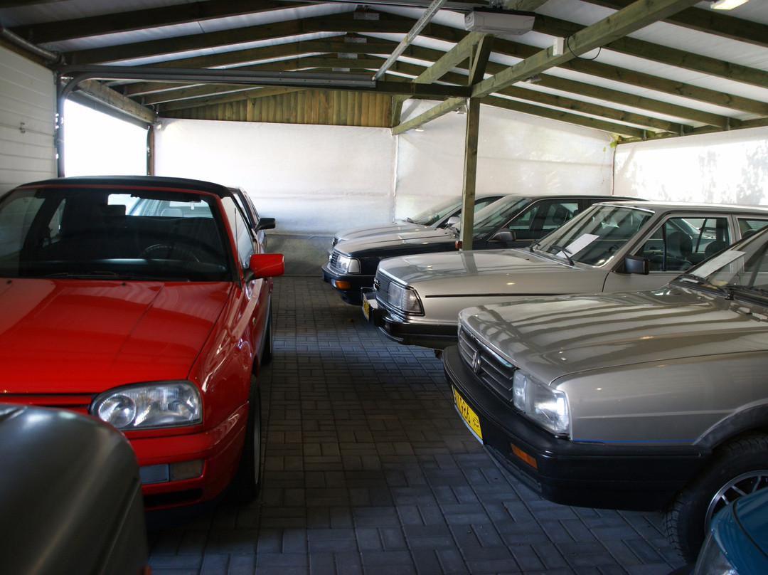 Museum of Volkswagen in Pepowo景点图片