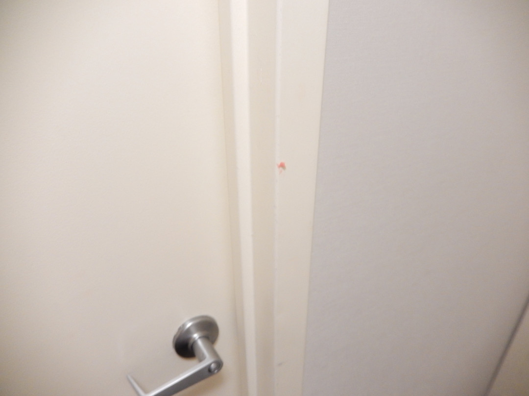 Holiday Inn Denver East by IHG主图