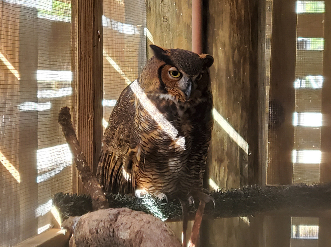 Gulf State Park Nature Center