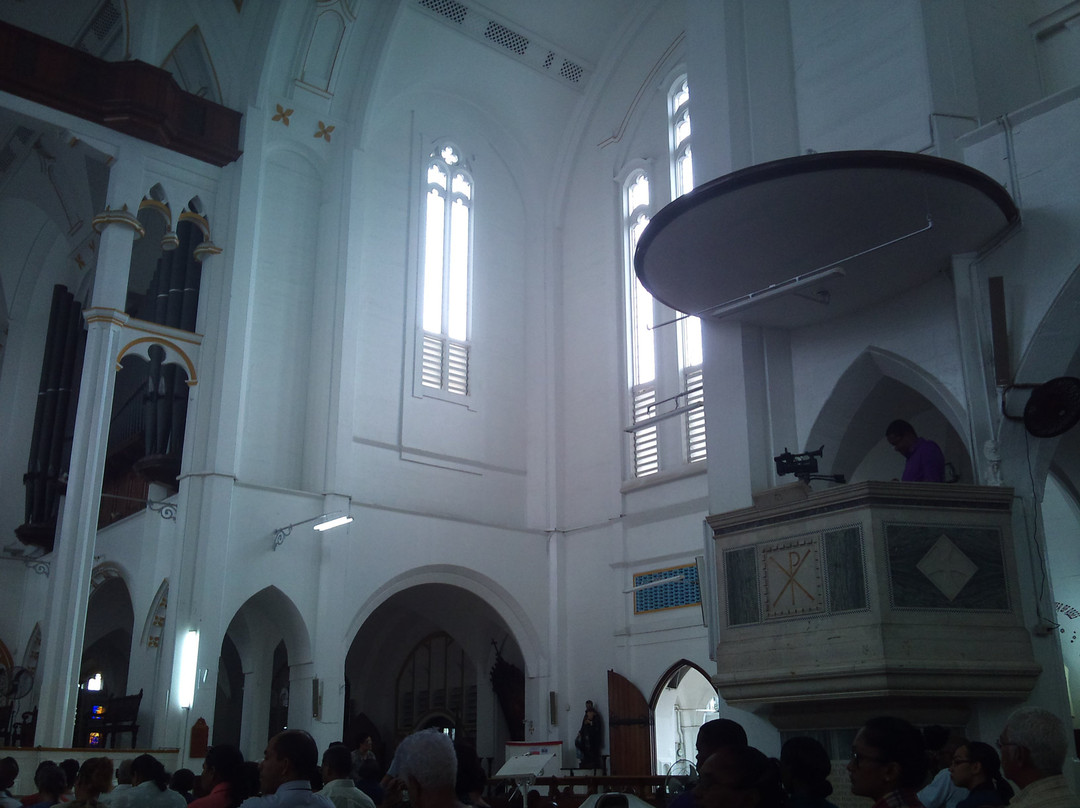 Cathedral of the Immaculate Conception景点图片