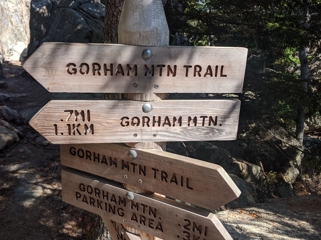 Gorham Mountain Trail景点图片