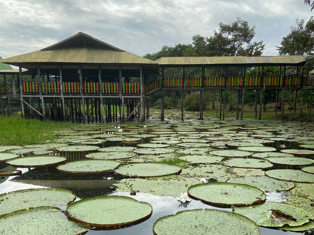 El Jardin de la Victoria Regia景点图片