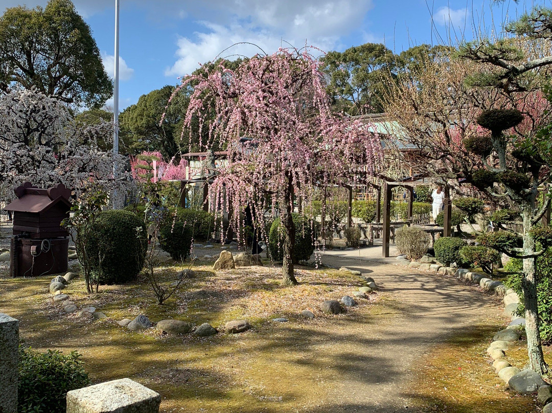 Yuki Shrine景点图片