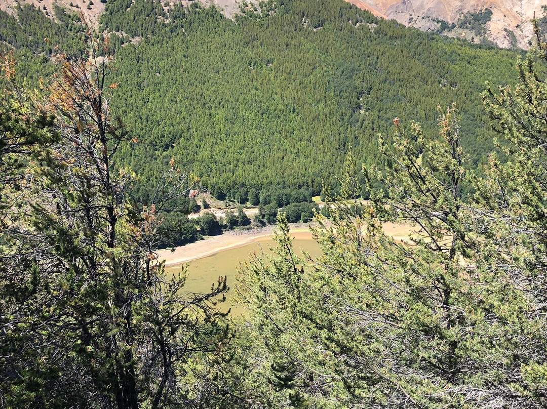 Reserva Nacional Cerro Castillo-Coyhaique必去景点