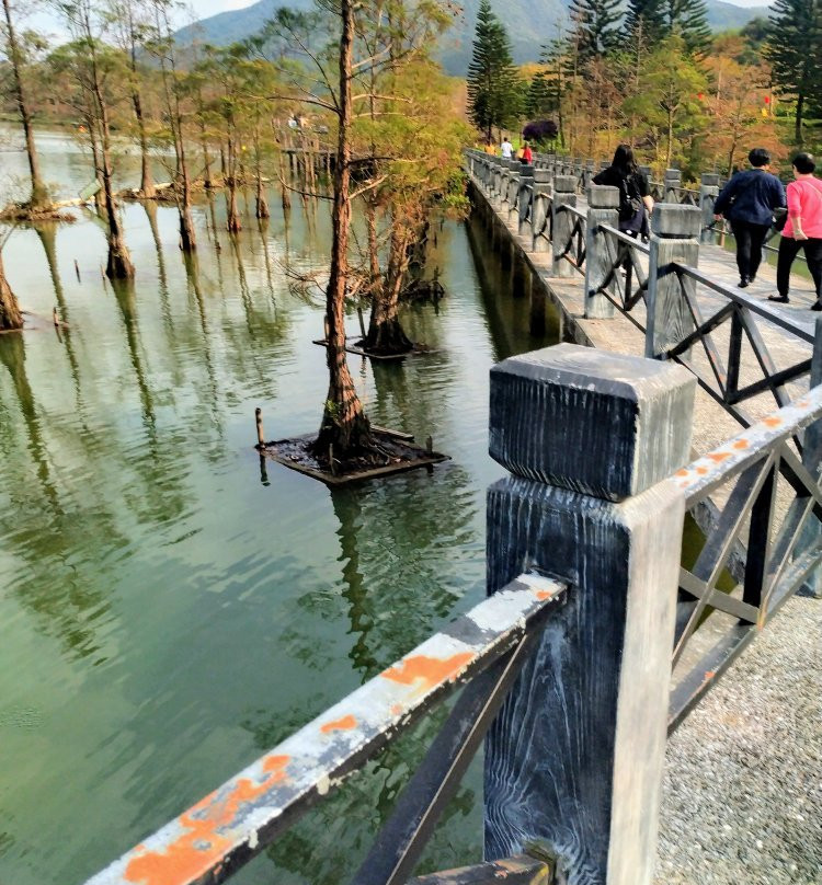 田野绿世界-佛冈县必去景点