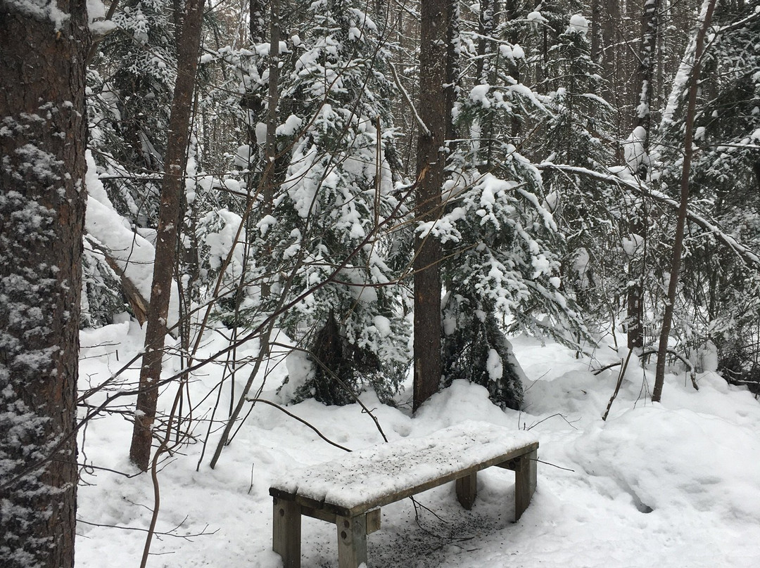 Hersey Lake Conservation Area-Timmins必去景点