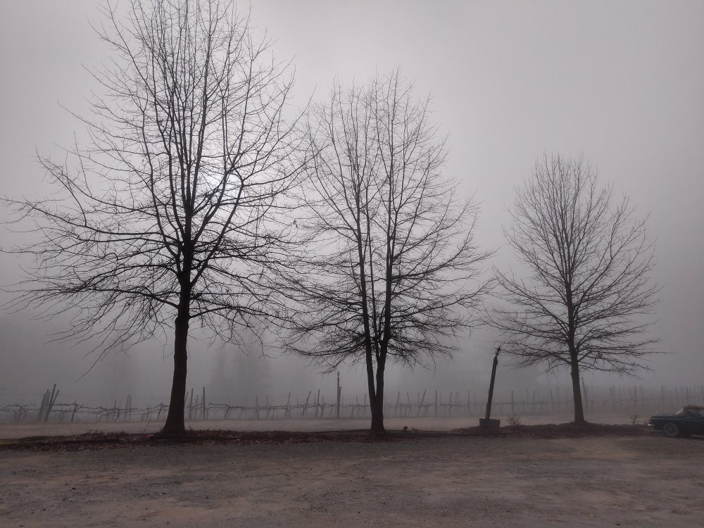 Boutier Winery & Inn-Danielsville必去景点