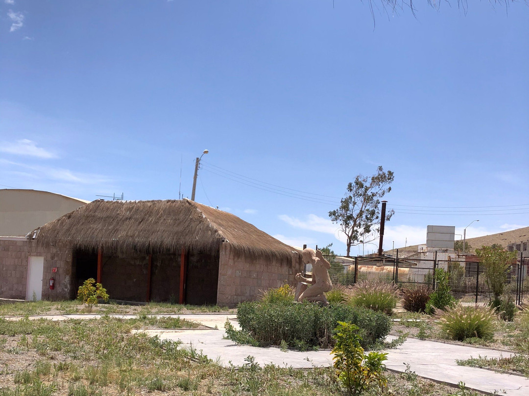 Termas de Mamina-伊基克必去景点