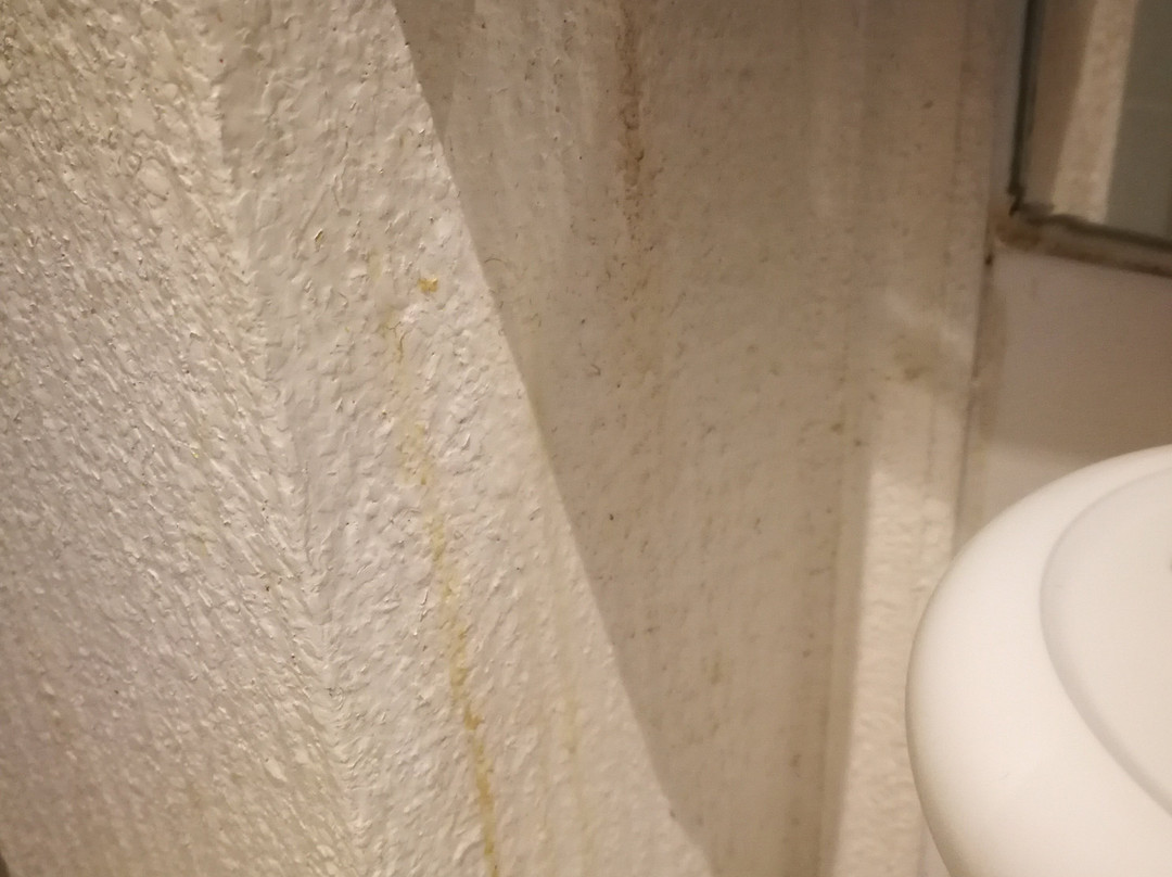 La Clairiere Bio & Spa Hotel主图