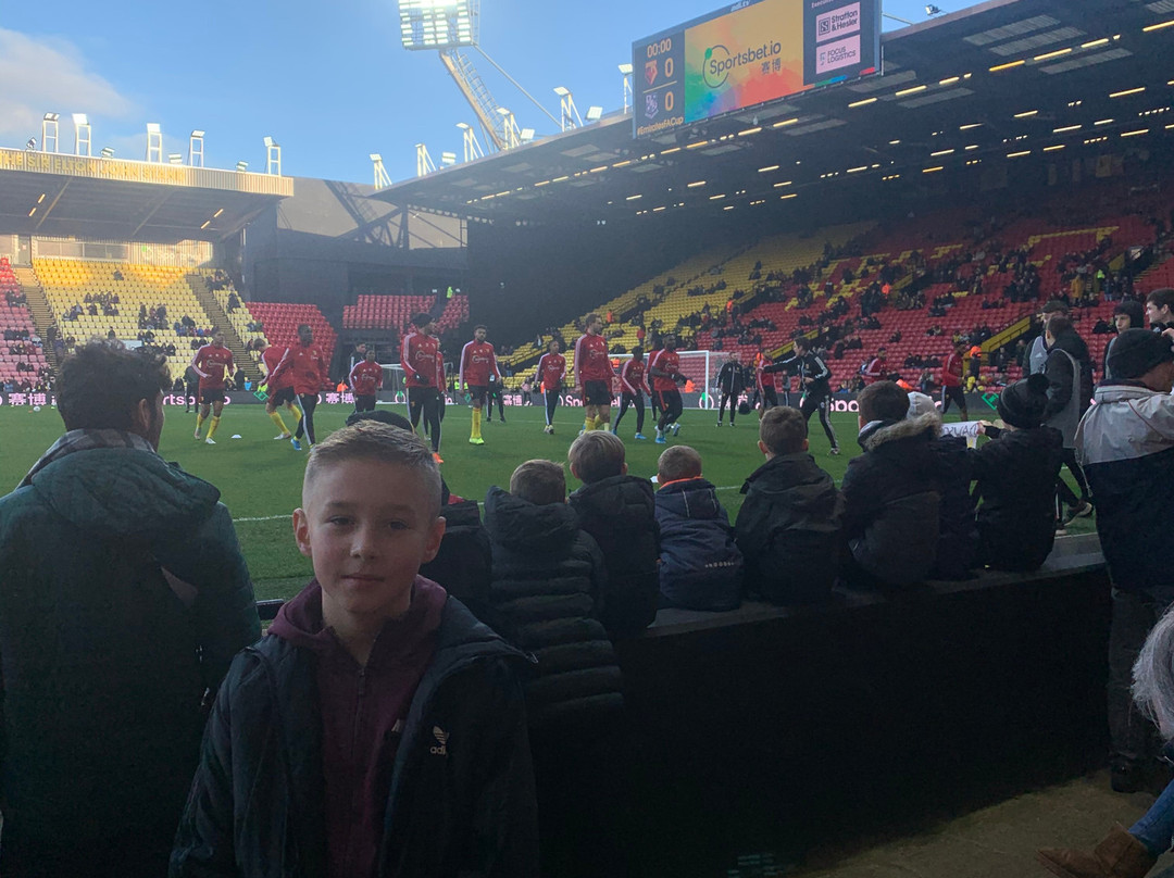 The Gallery, Watford Football Club景点图片