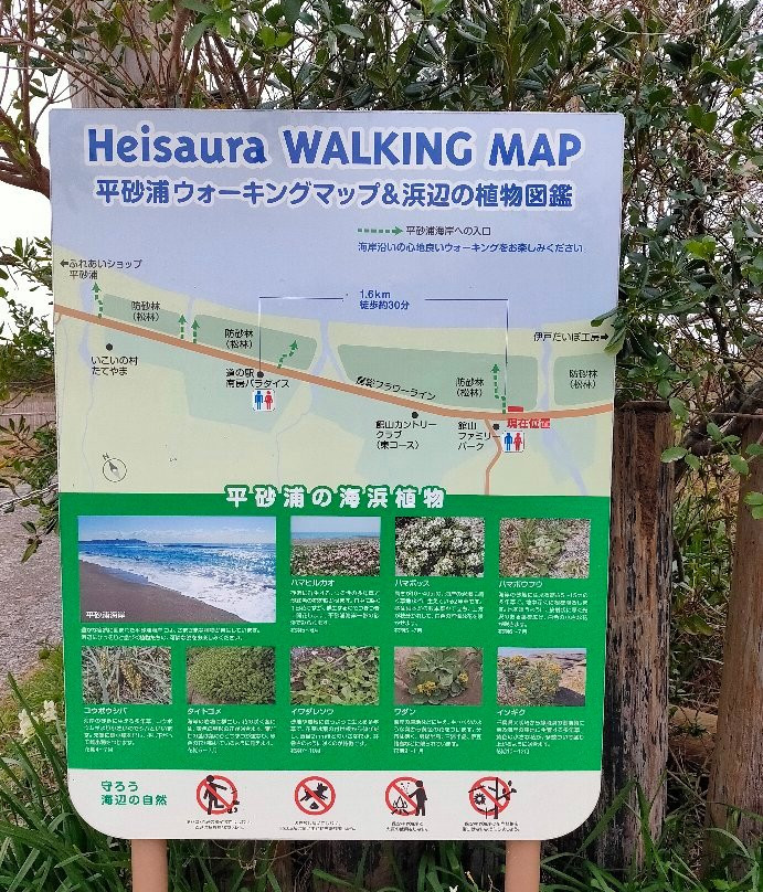 Heisaura Beach-馆山市必去景点