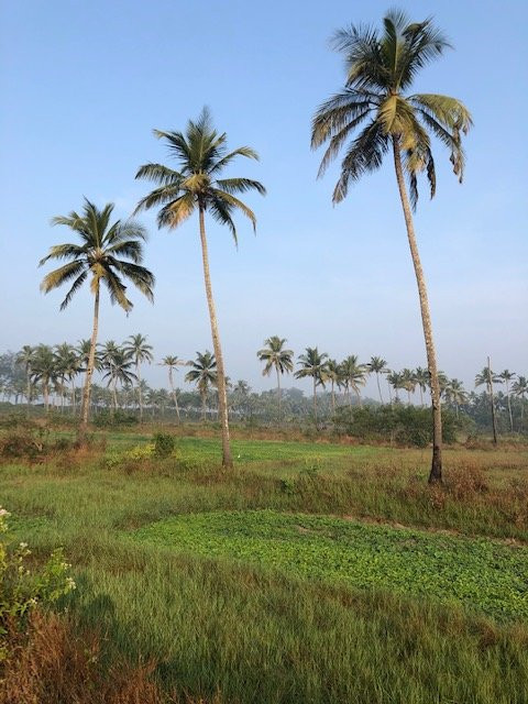 艾假日海滩度假村主图