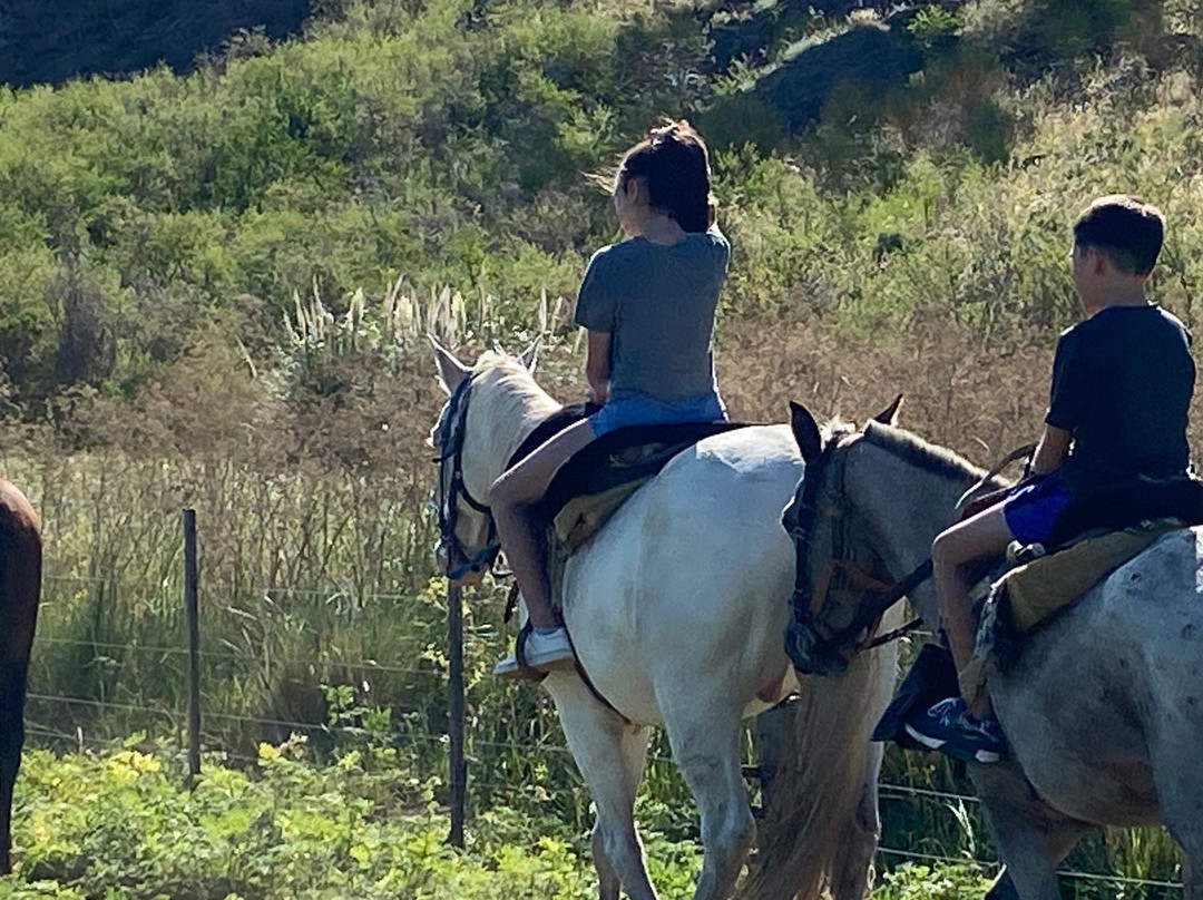 Cabalgatas El Pampa-Villa Ventana必去景点