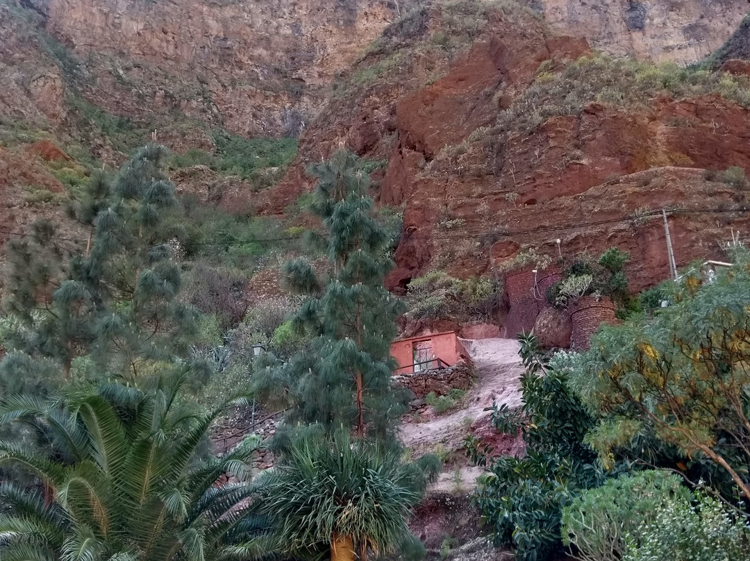Barranco de Guayadeque景点图片